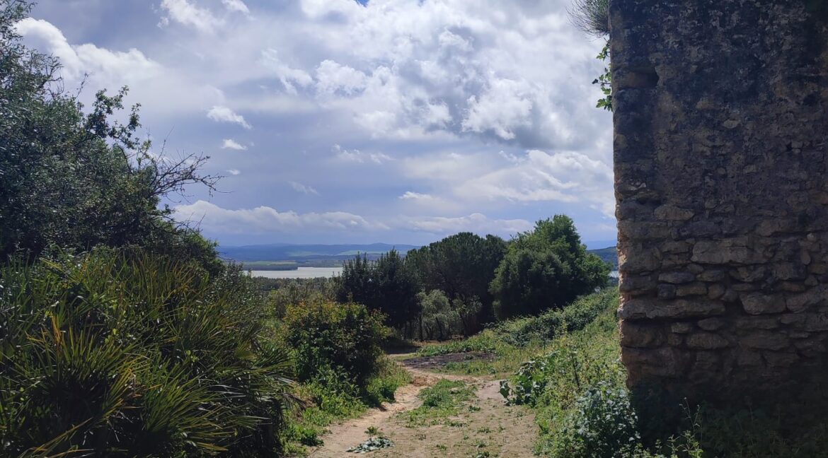 WhatsApp Image 2026-04-09 at 12.58.19